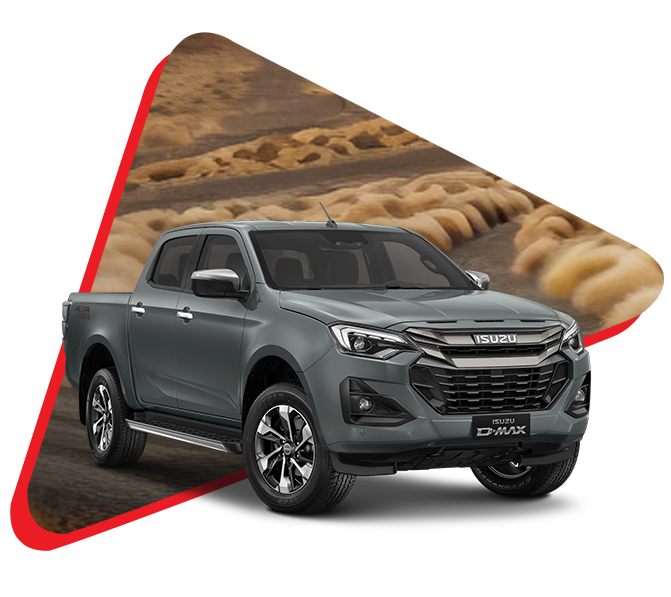 D-MAX DX