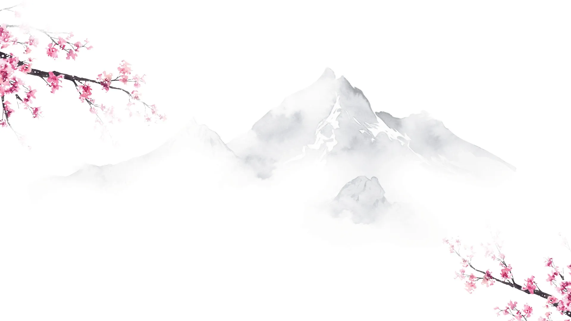 fondo sakura